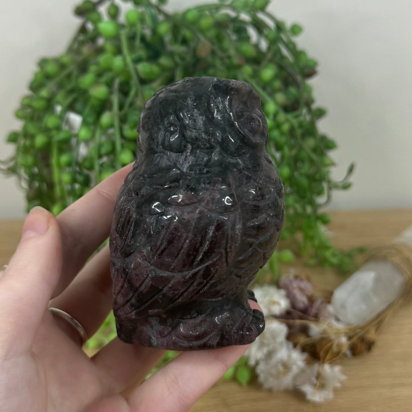 Garnet Owl (M476)