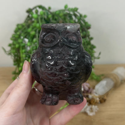 Garnet Owl (M477)
