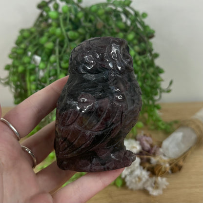 Garnet Owl (M477)