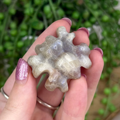 Moonstone Spider (U958)