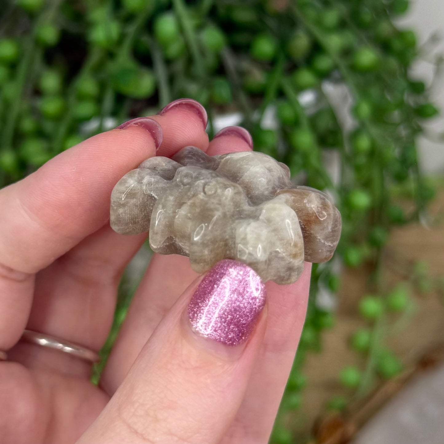 Moonstone Spider (U958)