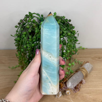 Caribbean Calcite Tower (U957)