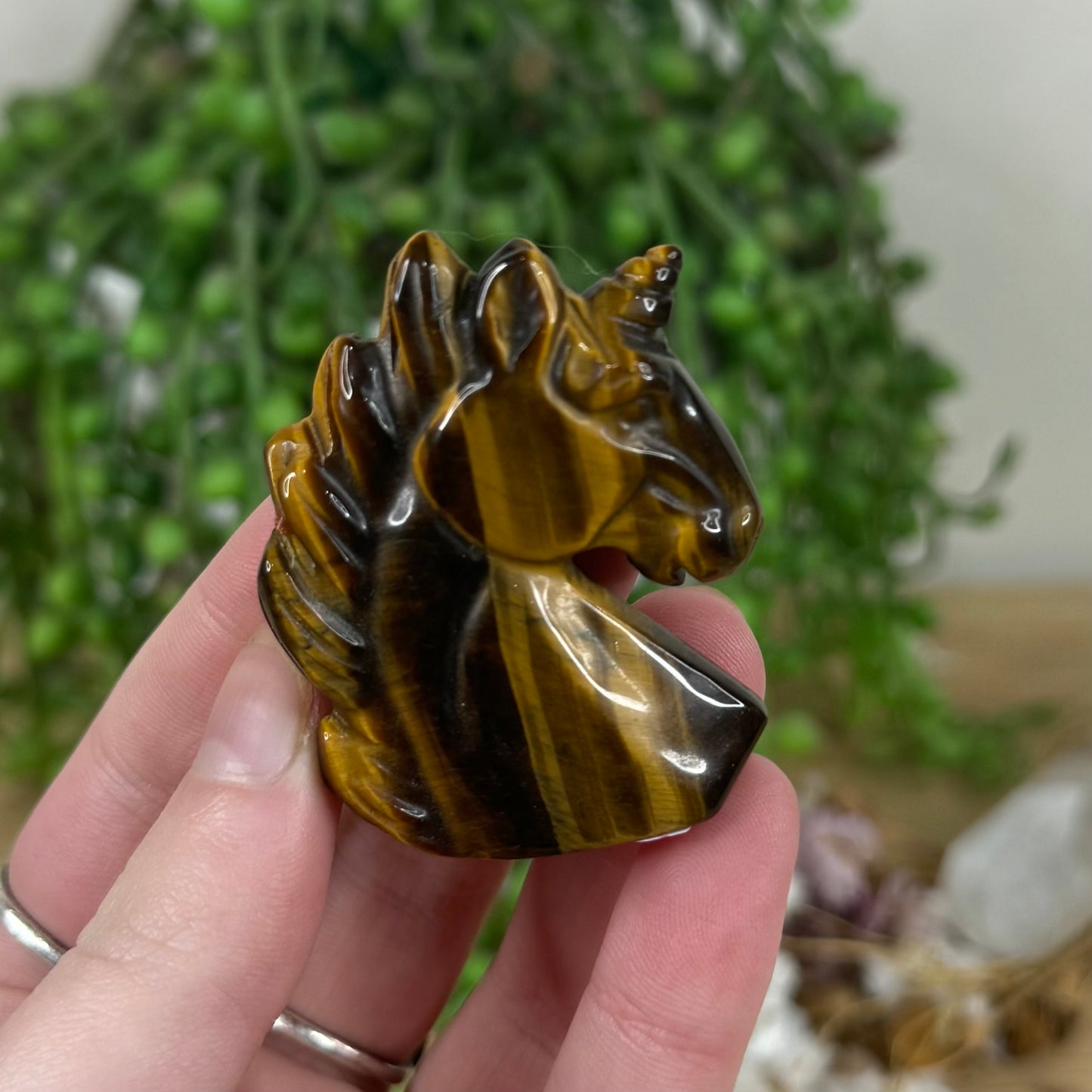 Tiger Eye Unicorn (M764)