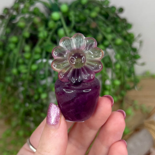 Candy Fluorite Flower In Pot (W81)