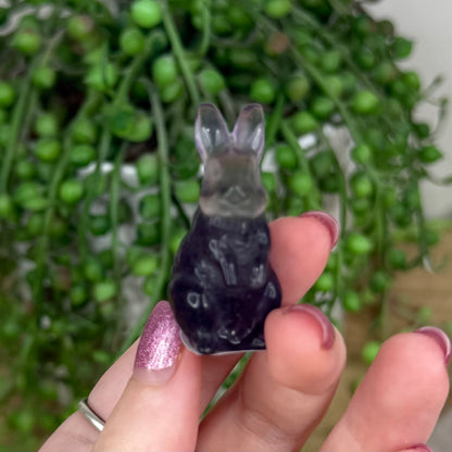 Candy Fluorite Bunny (W80)