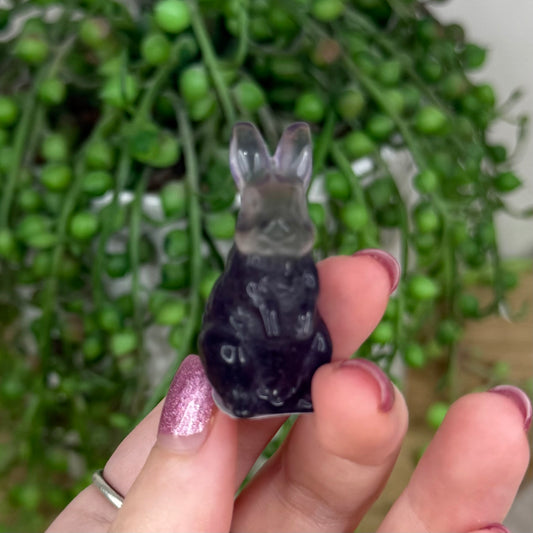 Candy Fluorite Bunny (W80)