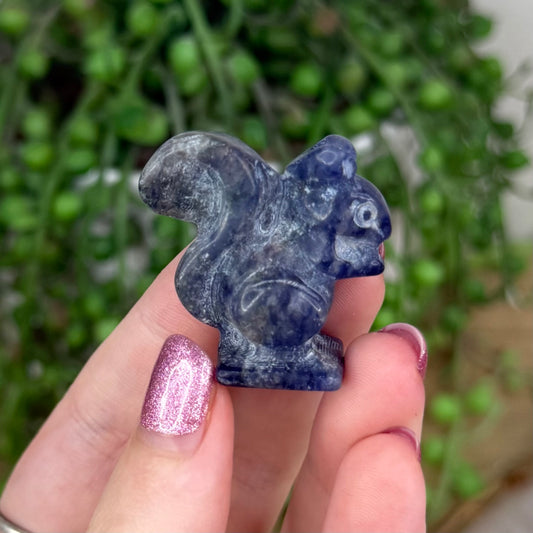 Sodalite Squirrel (W85)