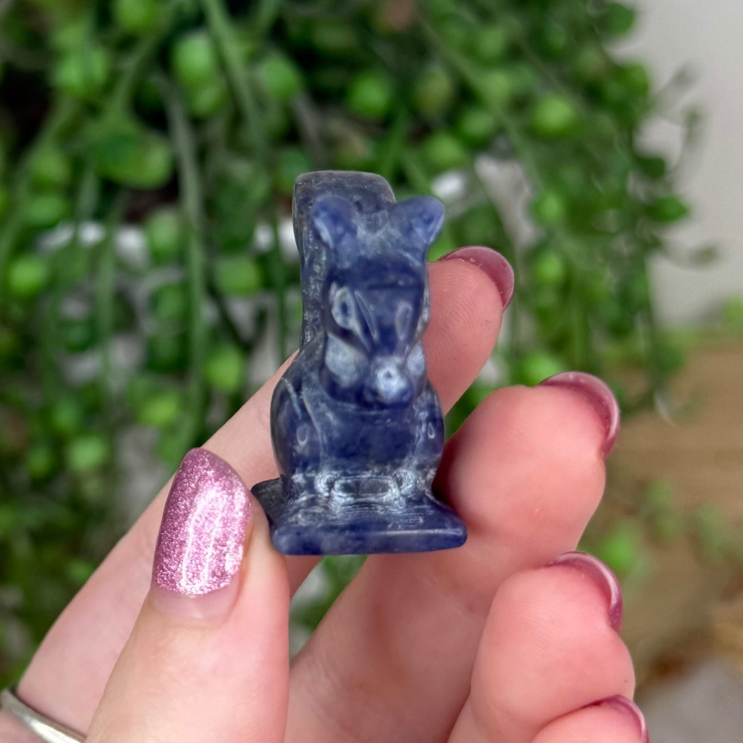 Sodalite Squirrel (W85)