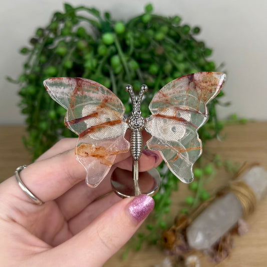 Golden Healer Butterfly Wings On Stand (W53)