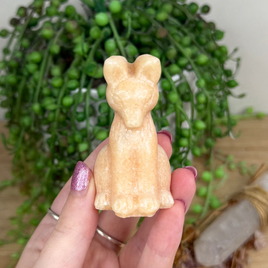 Sunstone Fox (W259)
