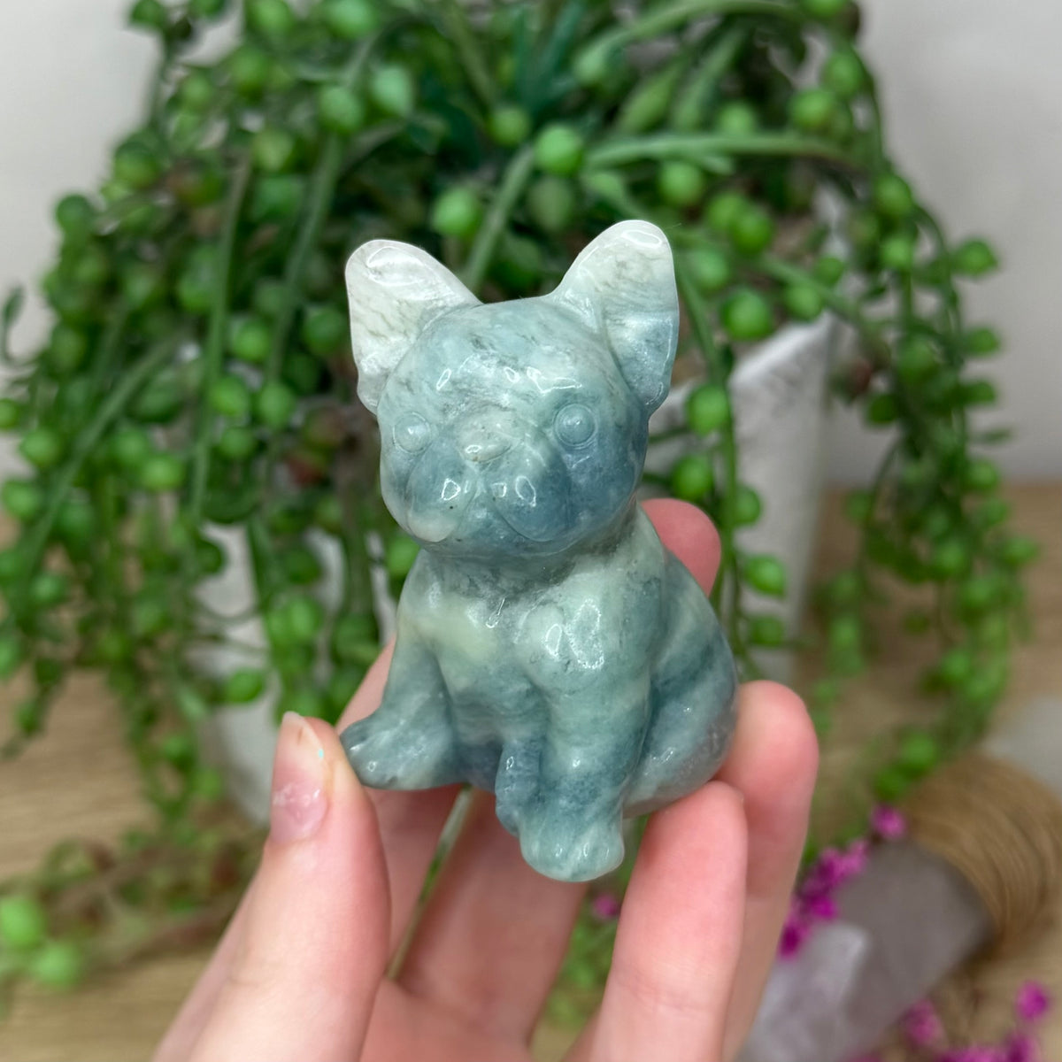 Sky Blue Opal French Bulldog (352B)