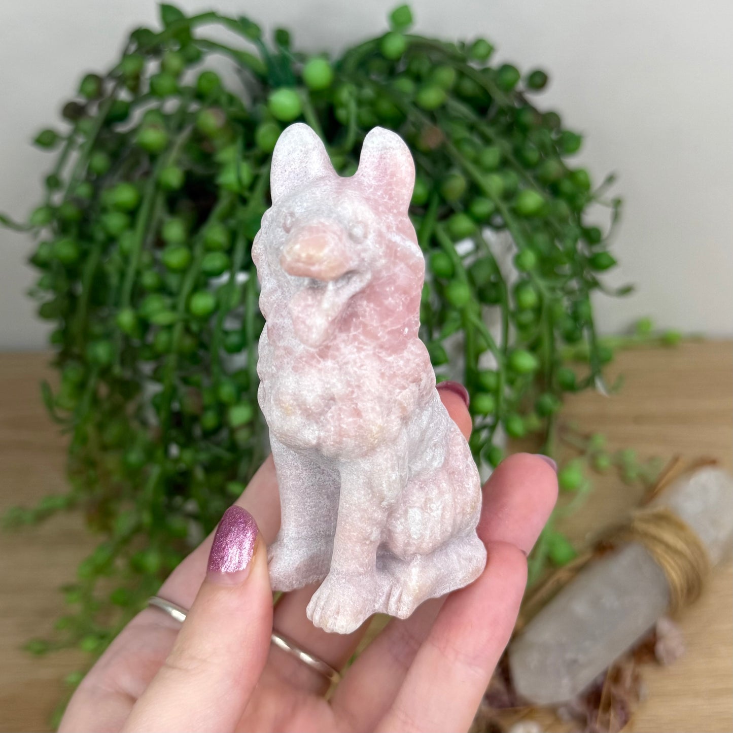 Pink Opal German Shepherd (W275)