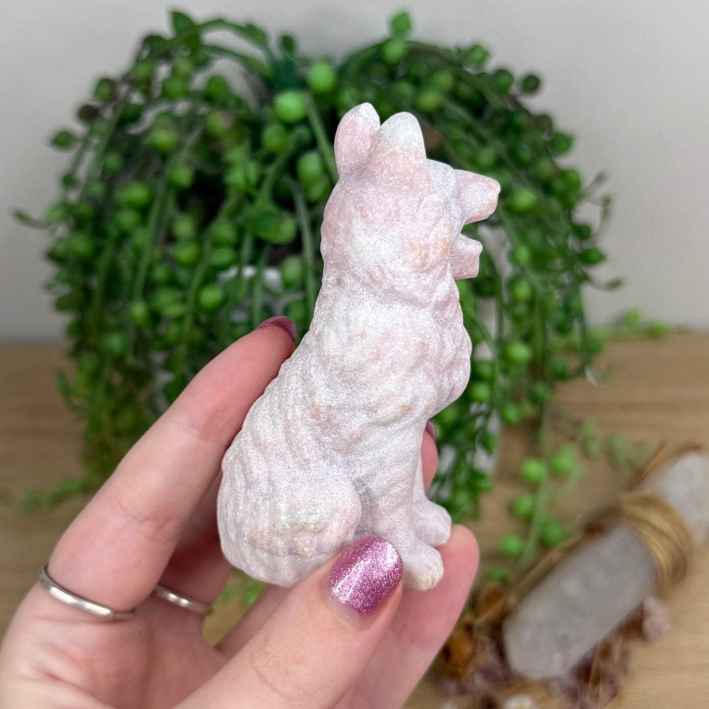 Pink Opal German Shepherd (W275)