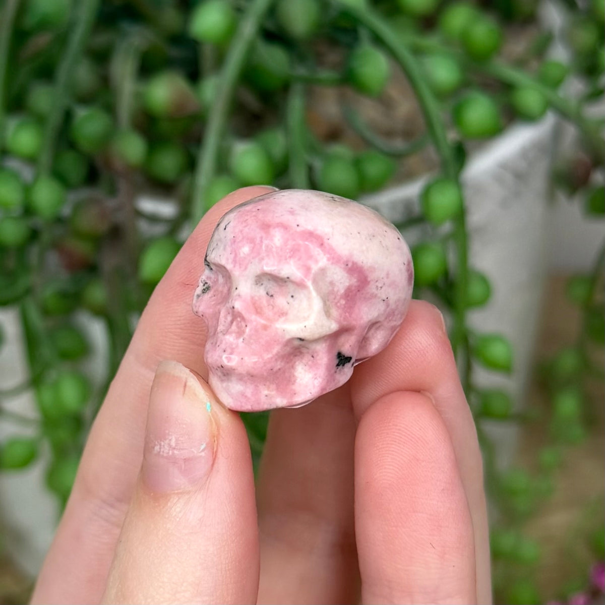 Peruvian Rhodonite Skull (389B)