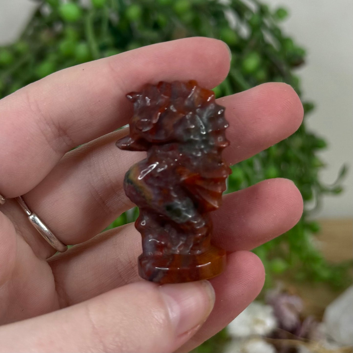 Ocean Jasper Seahorse (M444)