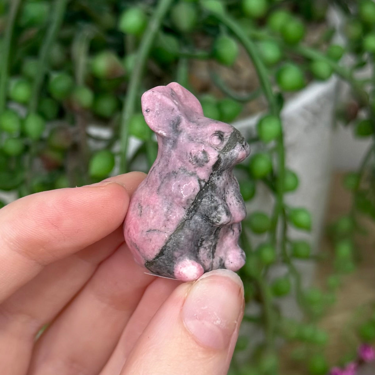 Peruvian Rhodonite Bunny (390B)