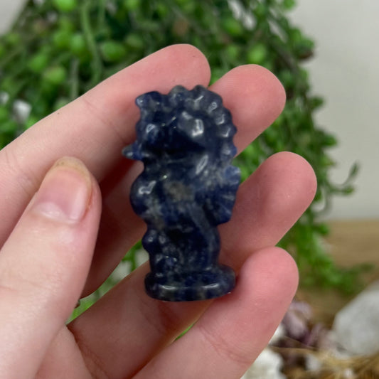 Sodalite Seahorse (M441)