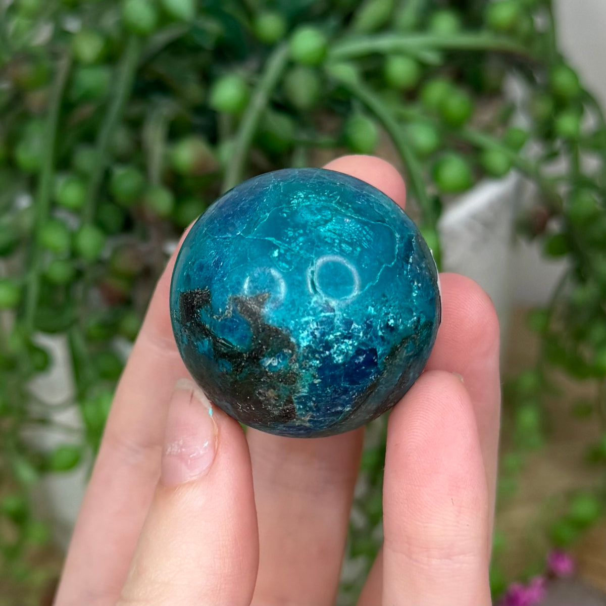 Chrysocolla Sphere (398B)