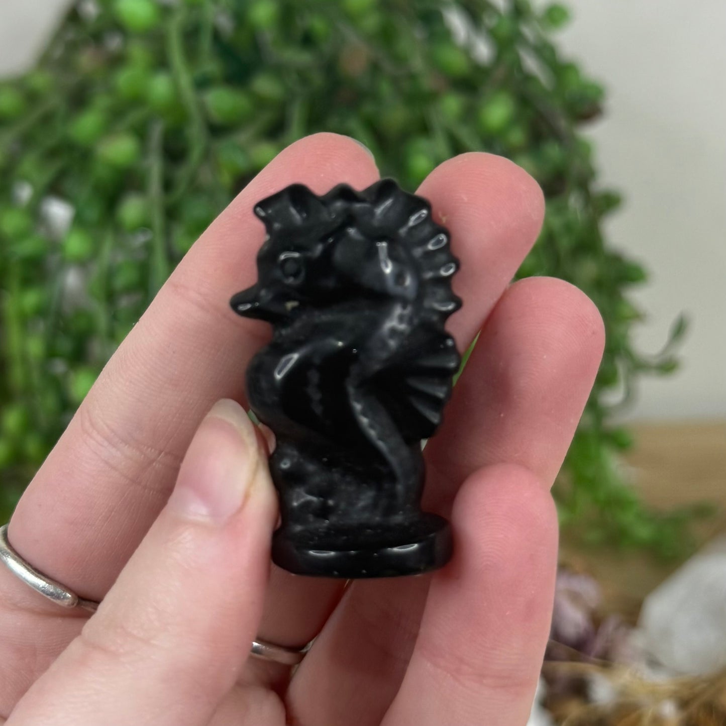 Black Obsidian Seahorse (M443)