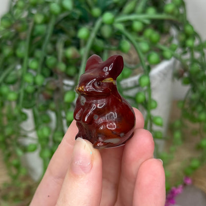 Mookaite Bunny (385B)