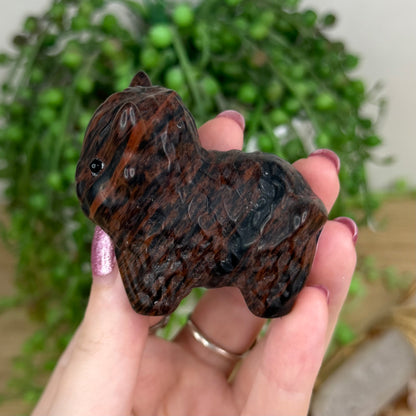 Mahogany Obsidian Highland Cow (W281)