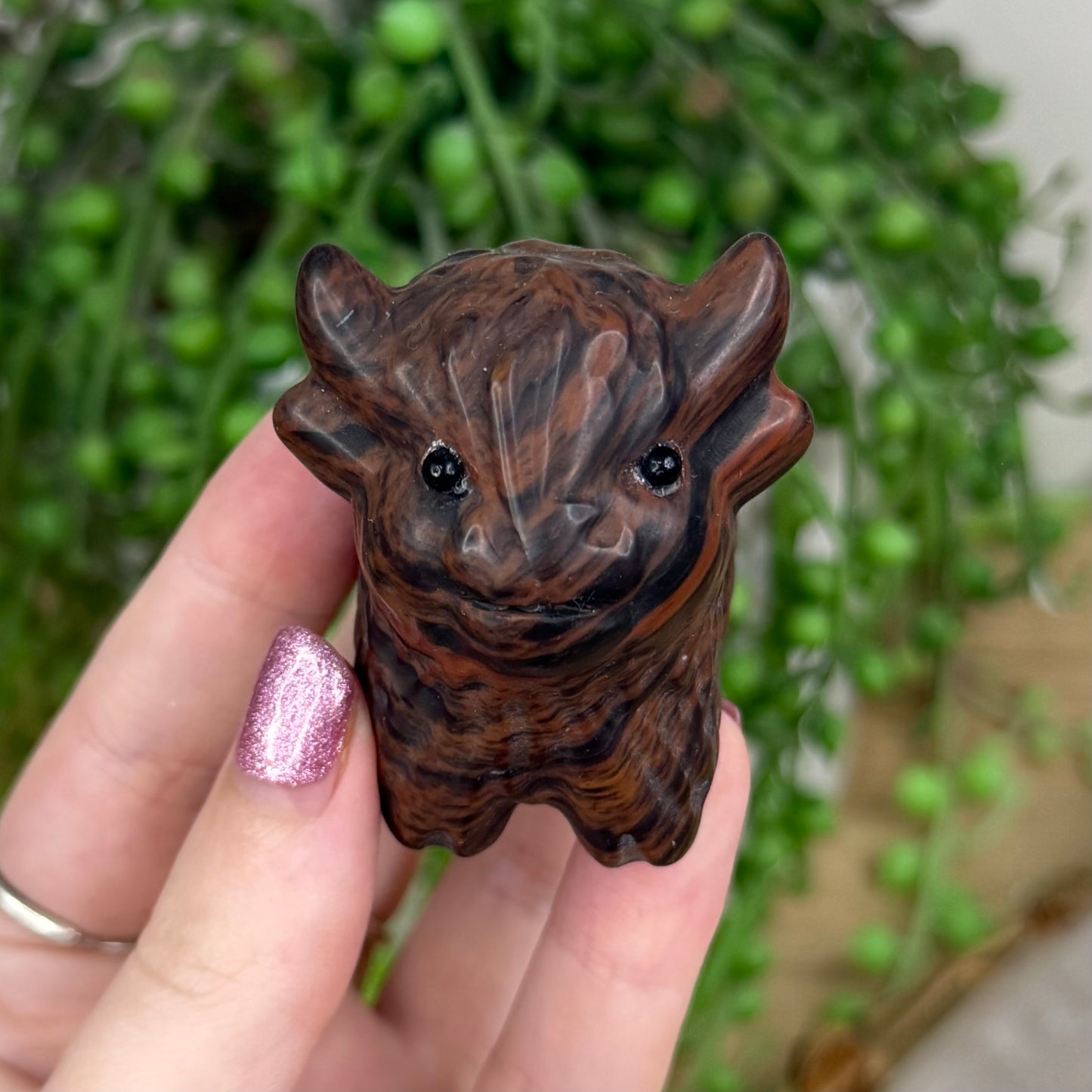 Mahogany Obsidian Highland Cow (W281)