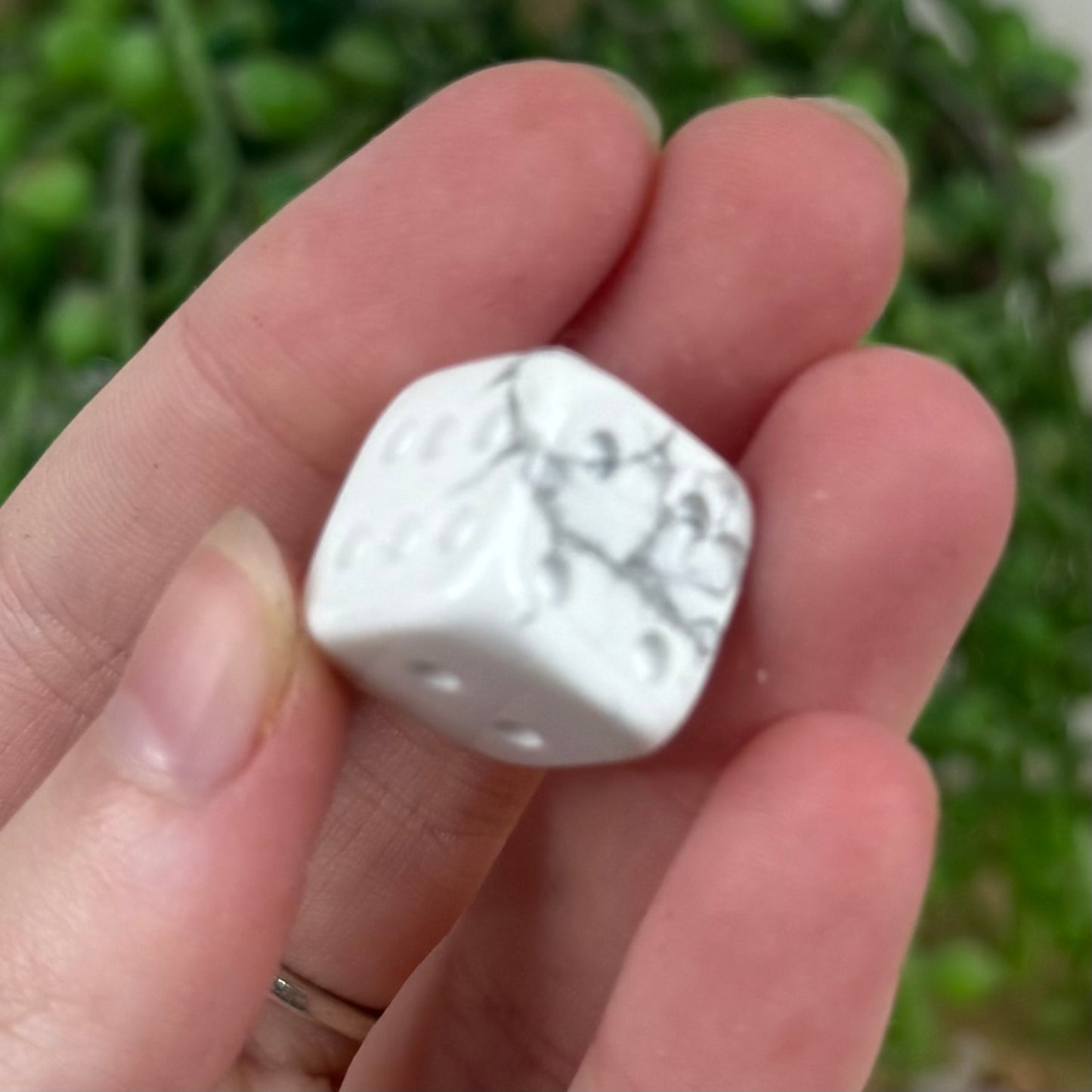 Howlite Dice (M398) (M397)