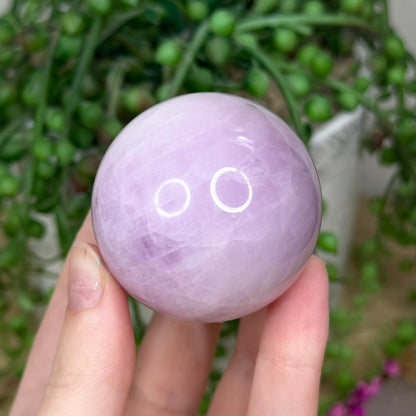 Kunzite Sphere (404B)