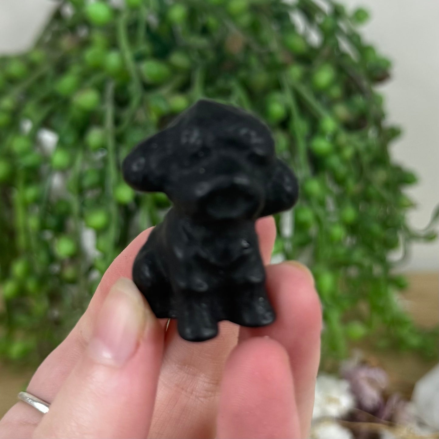 Black Obsidian Poodle (M424) (M423) (M422)