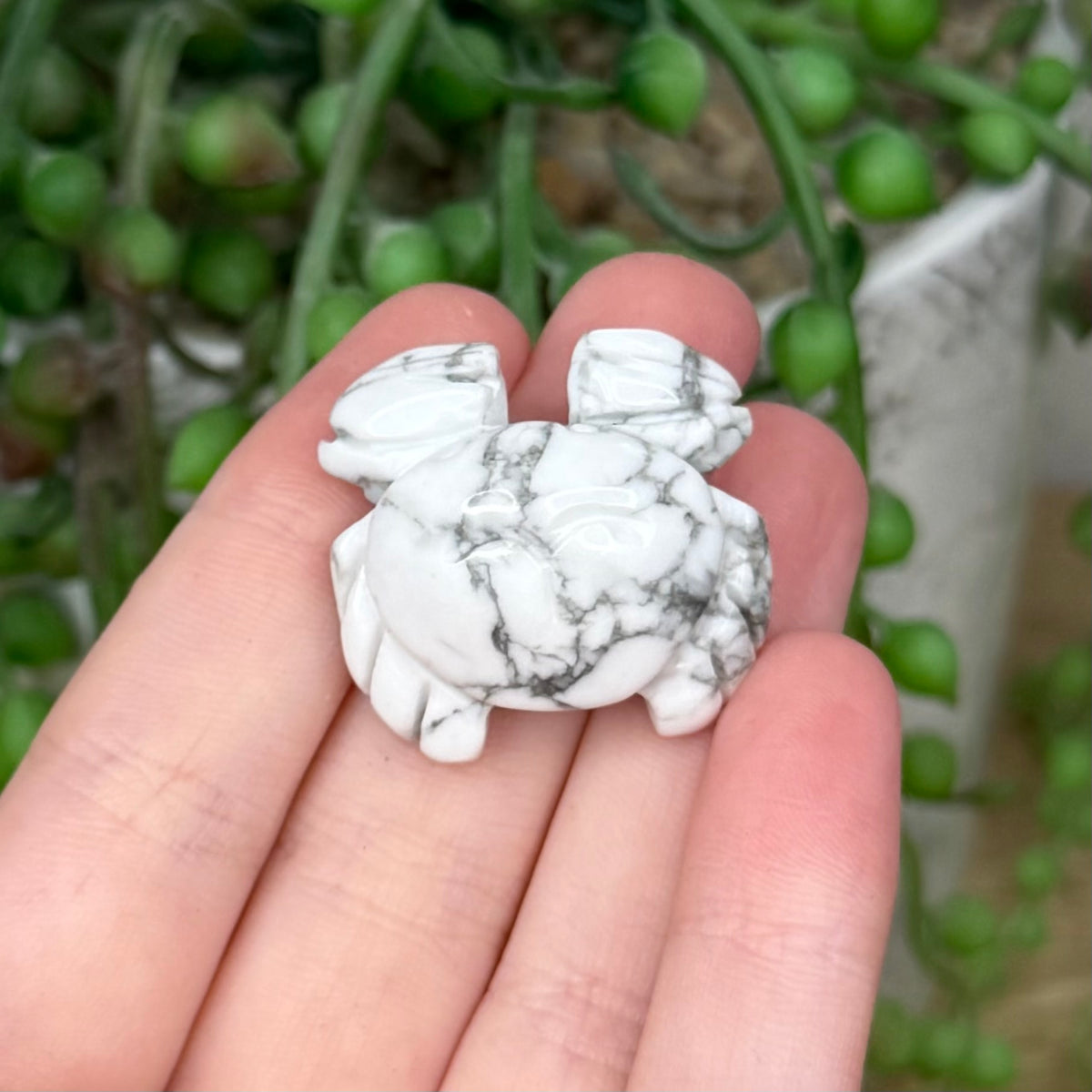 Howlite Small Crab