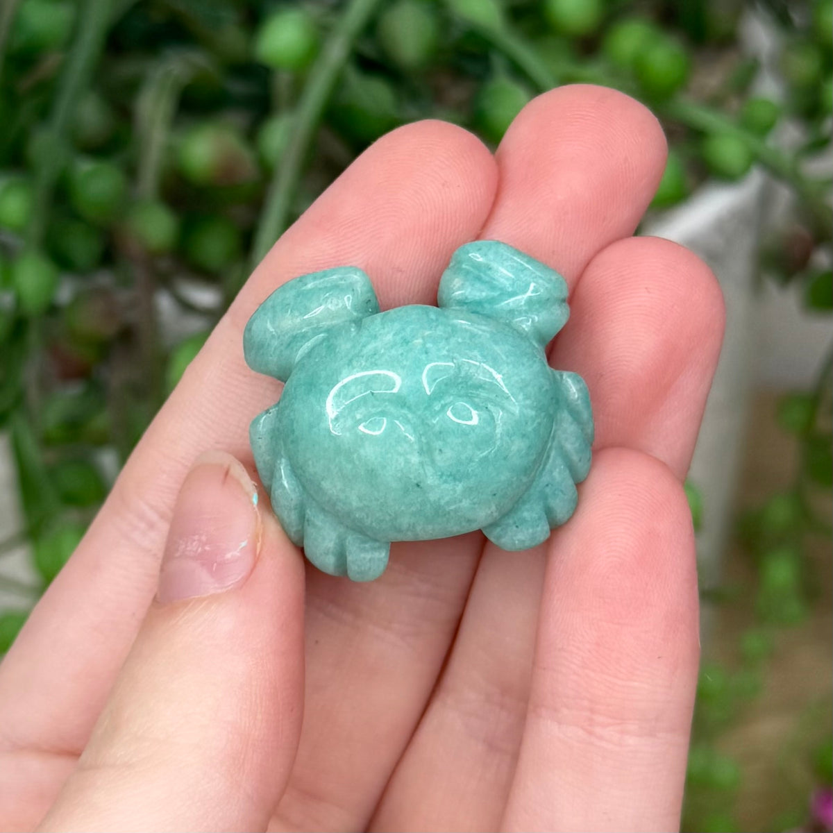 Amazonite Small Crab