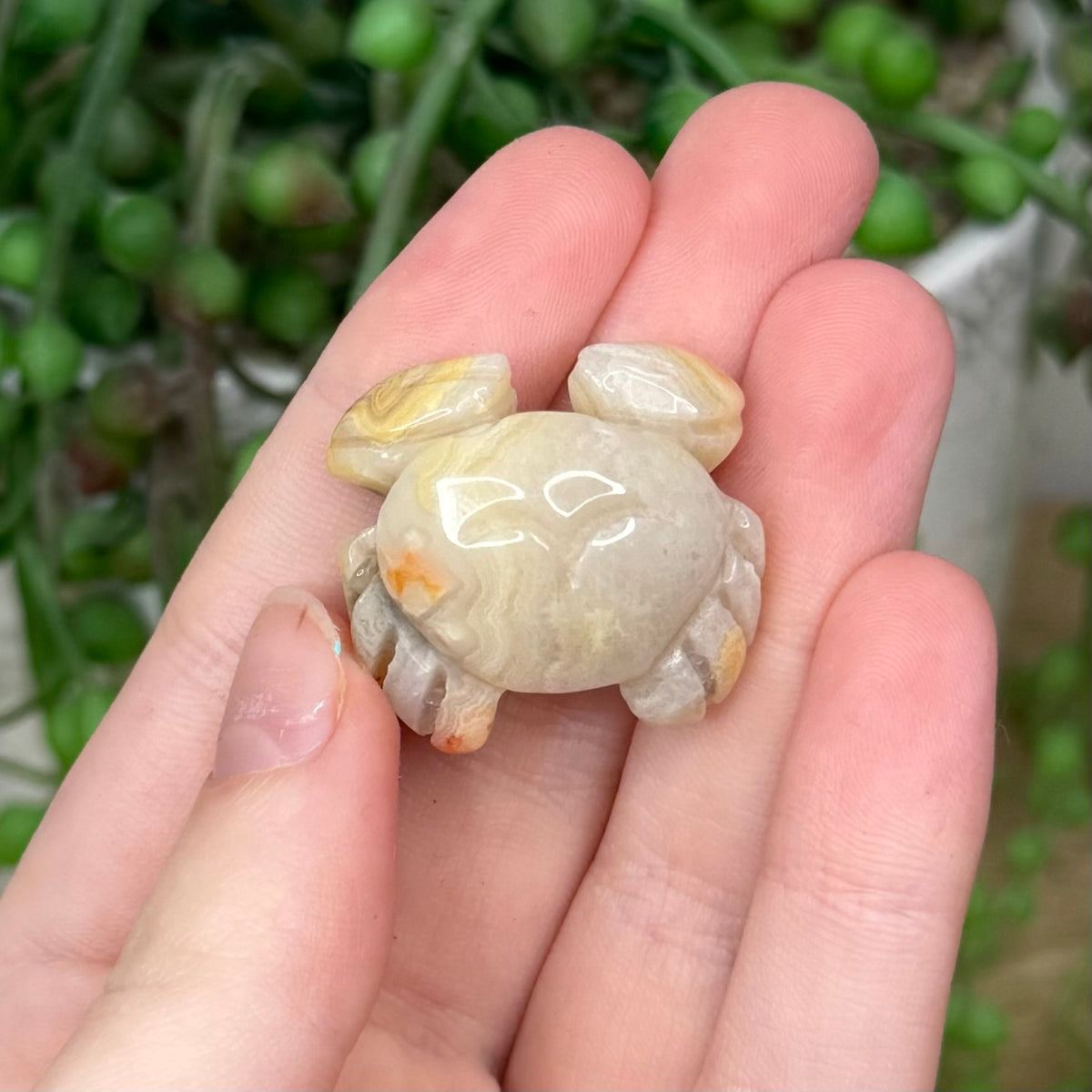 Crazy Lace Agate Small Crab