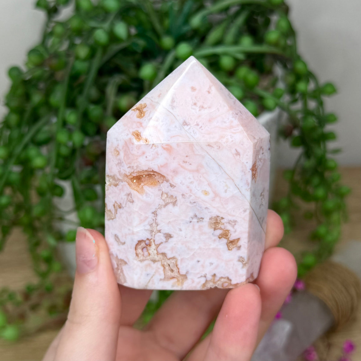Pink Carnelian Domino Point (227B)