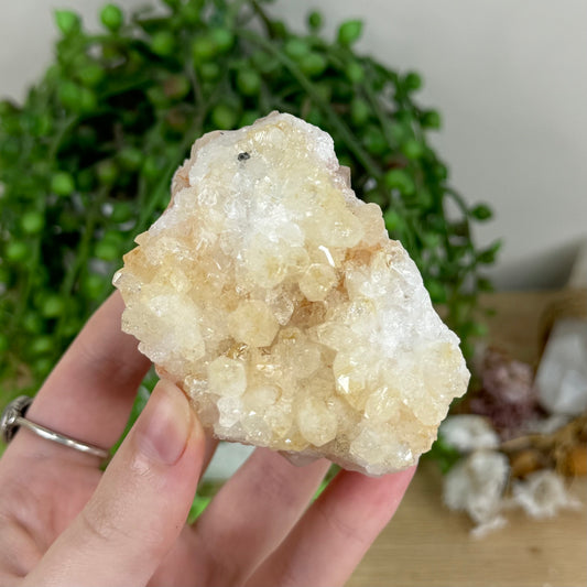 Citrine Cluster (R145)