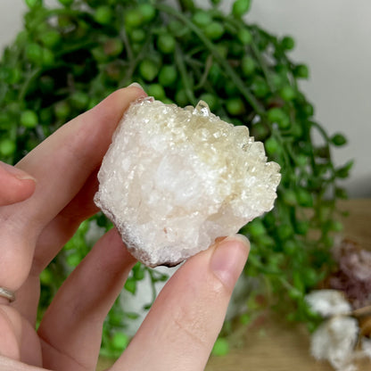 Citrine Cluster (R141)