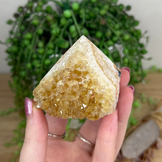 Citrine Cluster Cut Base (W316)