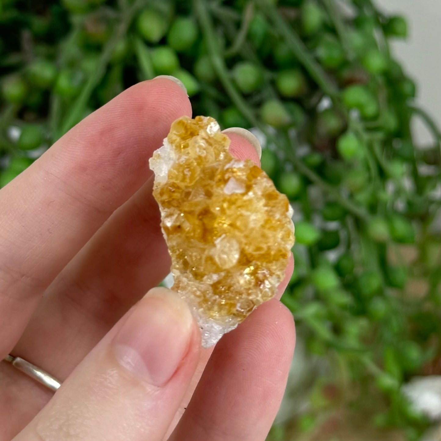 Citrine Cluster (R139)