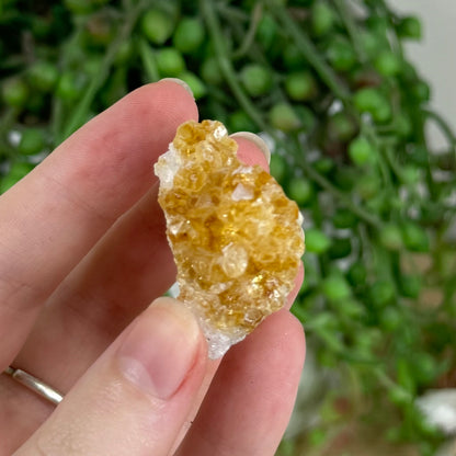 Citrine Cluster (R139)