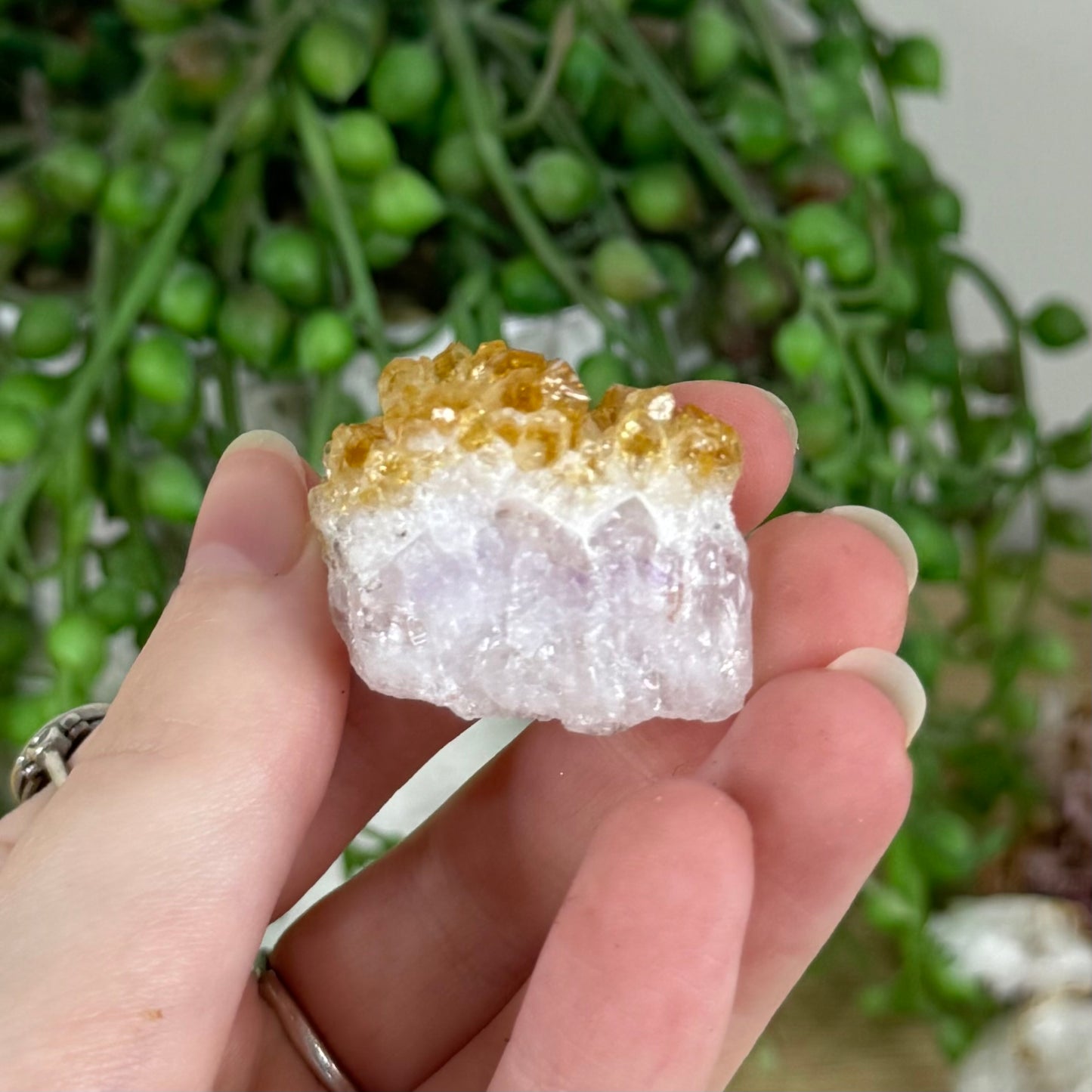 Citrine Cluster (R139)