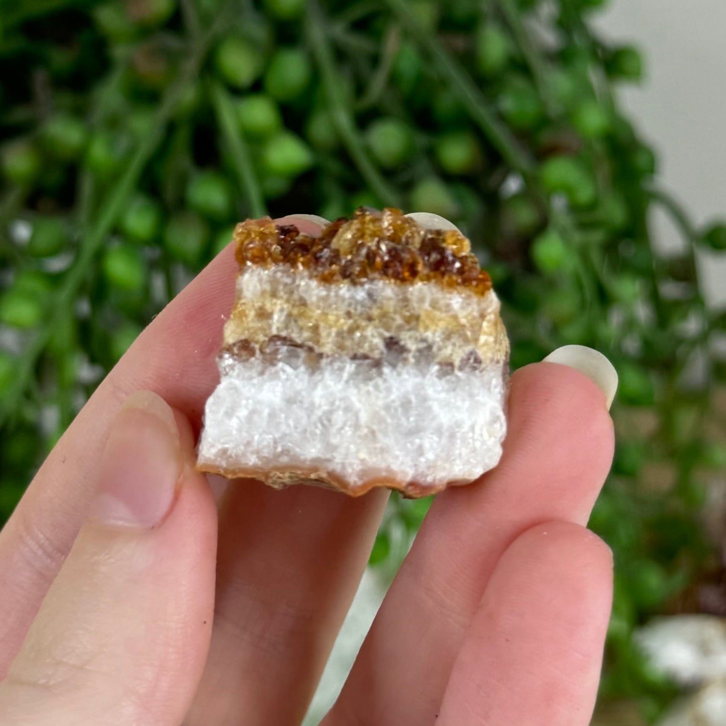 Citrine Cluster (R138)