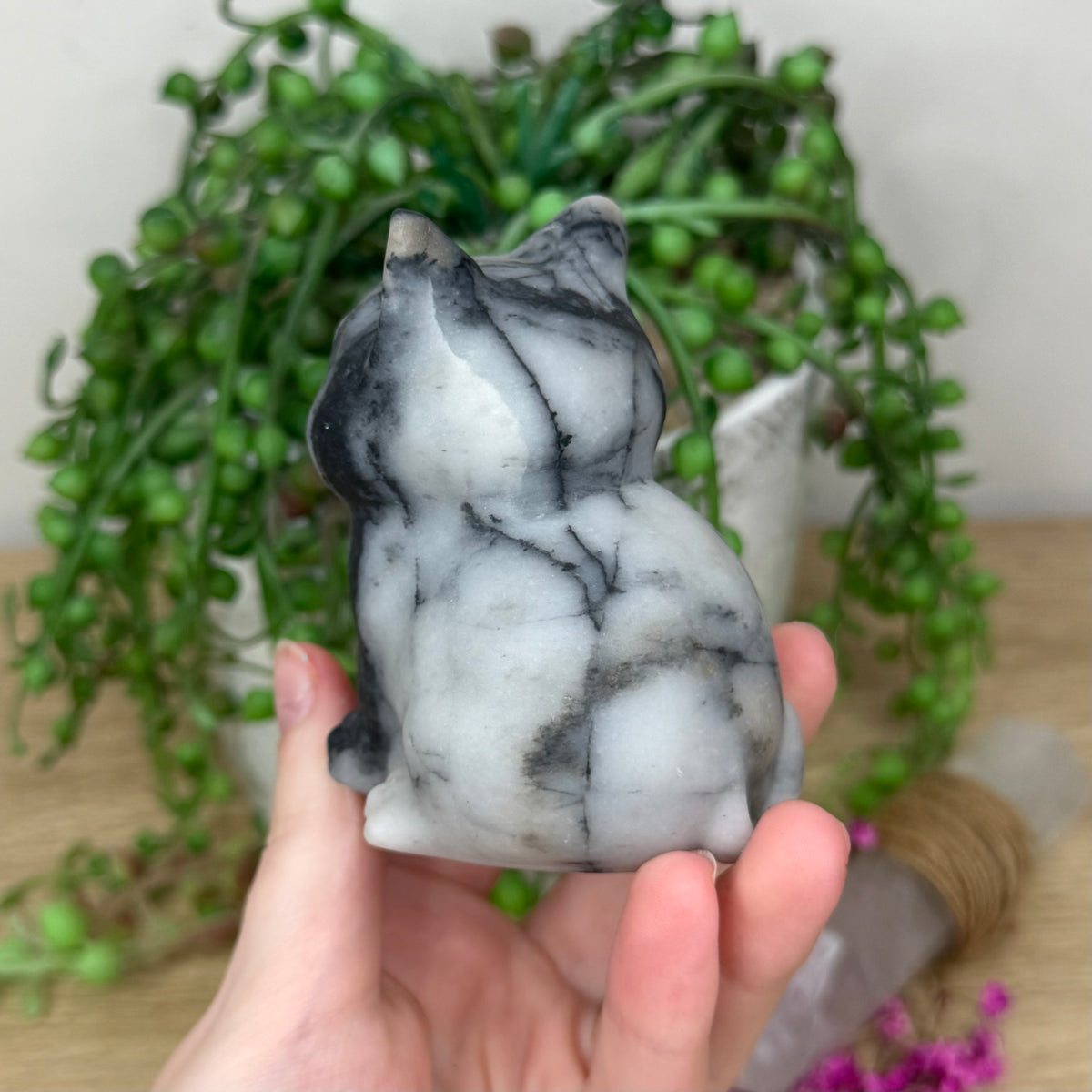 Spider Web Jasper Cat (319B)