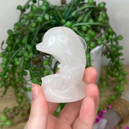 Clear Quartz Dolphin (312B)