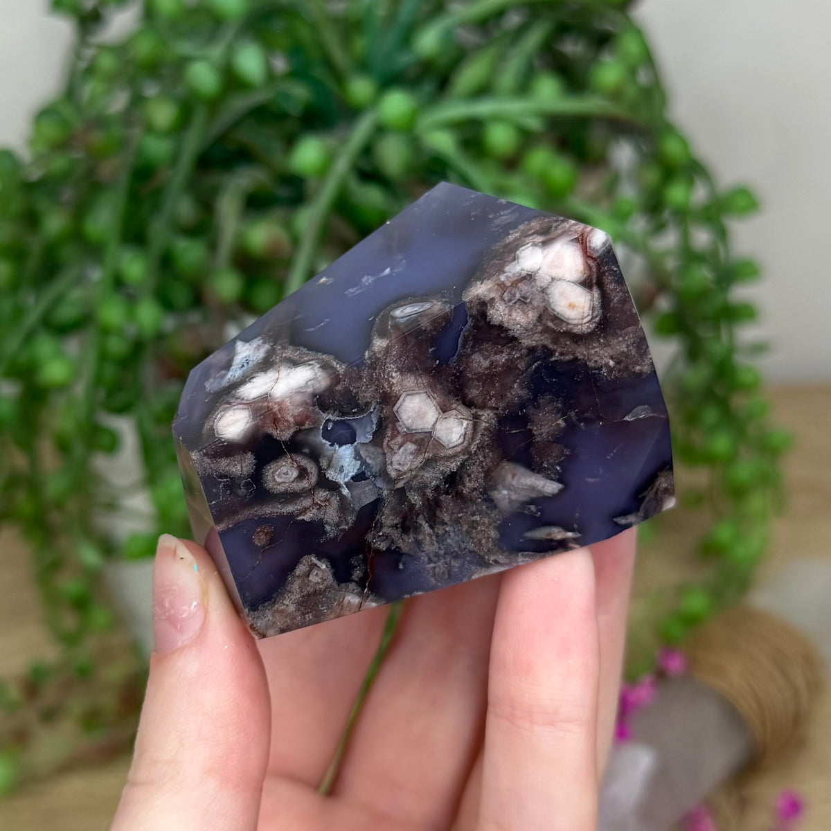 Blue Flower Agate Free Form (342B)