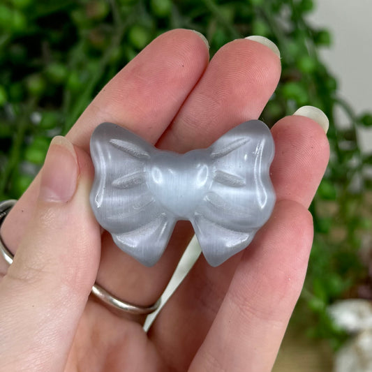 Grey Cats Eye Bow