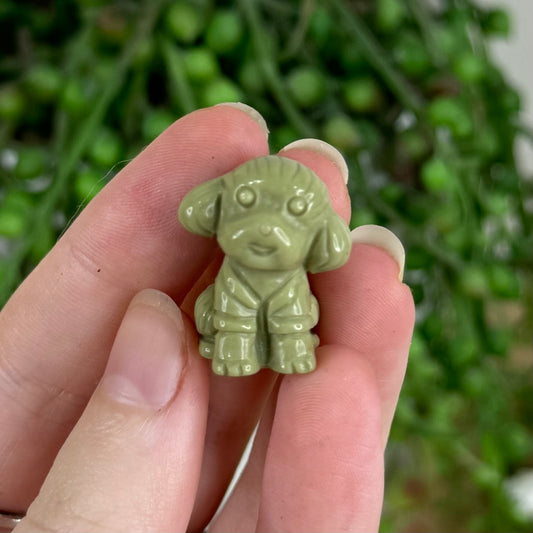 Alashan Small Poodle 2