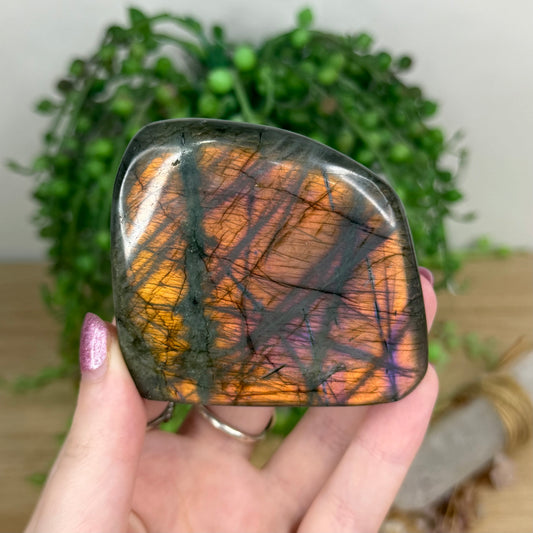 Labradorite Free Form (W46)