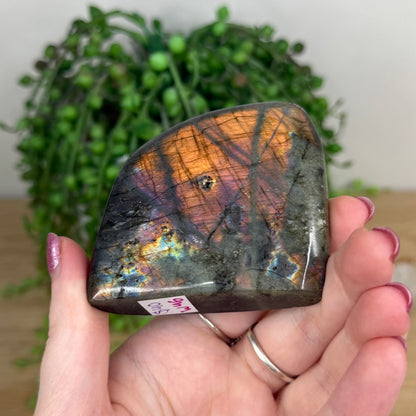 Labradorite Free Form (W46)