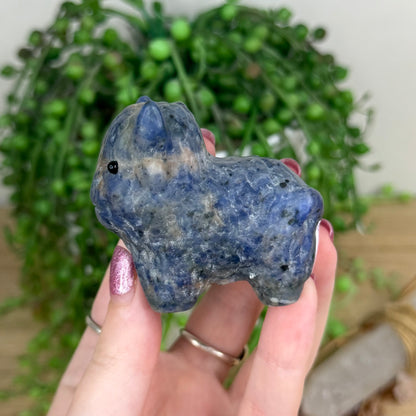 Sodalite Highland Cow (W282)