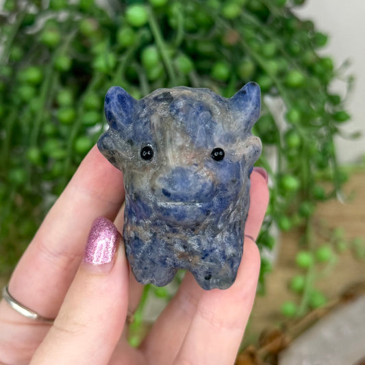 Sodalite Highland Cow (W282)