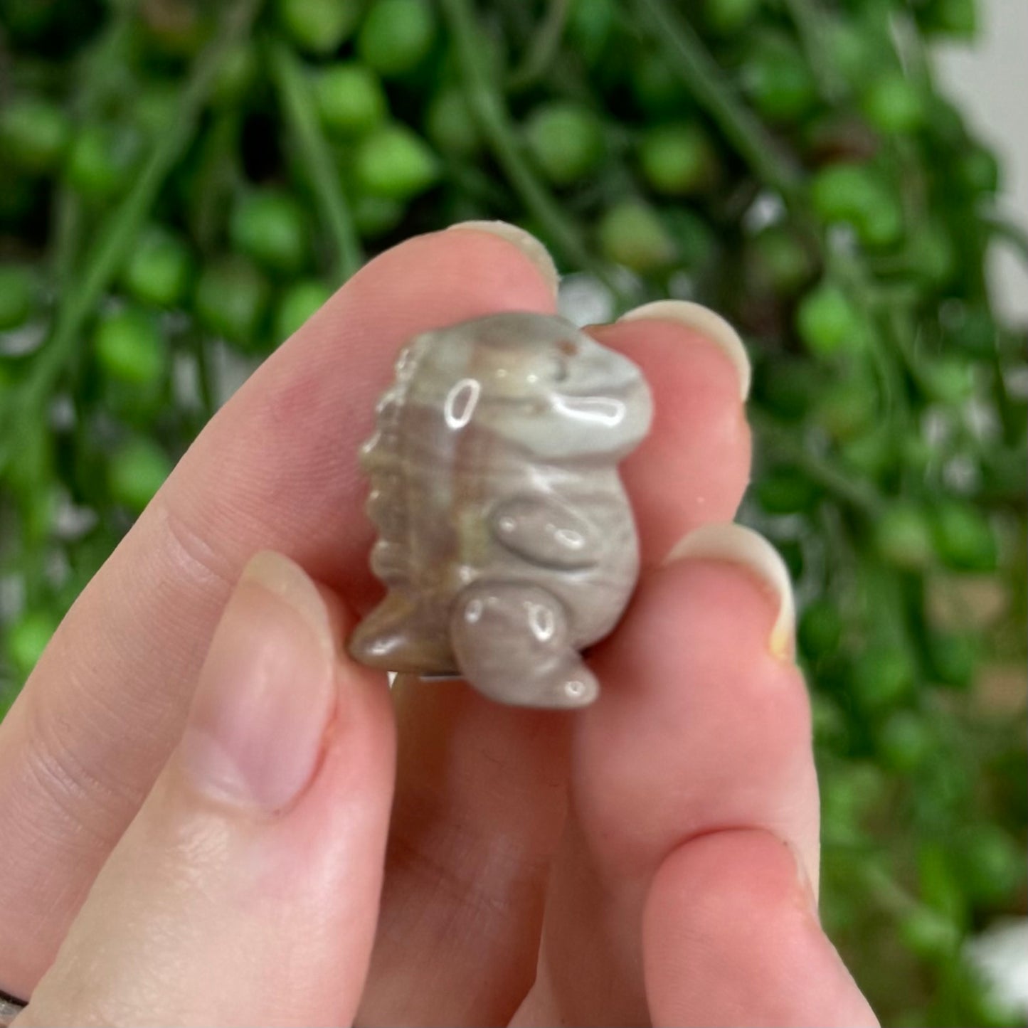 Alashan Mini Chubby Dino 3